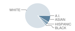 Robert Cushman Murphy Junior High School Student Race Distribution