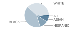 Grant Middle School Student Race Distribution