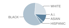 H.w. Smith Elementary School Student Race Distribution