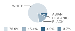 P.S. 18 School Student Race Distribution