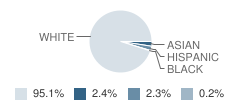 Wantagh High School Student Race Distribution