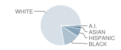 Case Middle School Student Race Distribution