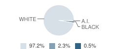 Waterville High School Student Race Distribution