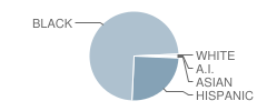 Wyandanch Memorial High School Student Race Distribution