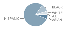 Robert C. Dodson School Student Race Distribution