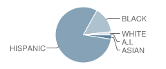 Enrico Fermi School for the Performing Arts Student Race Distribution