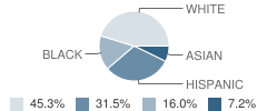 Patricia A. Dichiaro School Student Race Distribution