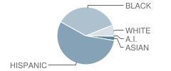 School 9 Student Race Distribution