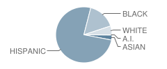 School 13 Student Race Distribution