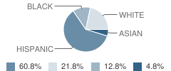 School 21 Student Race Distribution