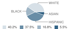 School 30 Student Race Distribution