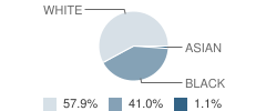 Riverview East Academy Student Race Distribution