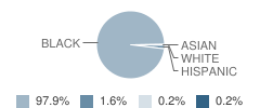 Fci Academy Student Race Distribution