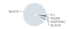 Vangorden Elementary School Student Race Distribution