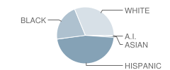 Palm Elementary School Student Race Distribution