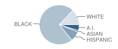 Columbus Preparatory and Fitness Academy Student Race Distribution