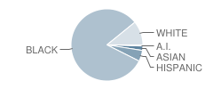 Horizon Science Academy Elementary Student Race Distribution