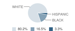 Canton City Digital Academy Student Race Distribution