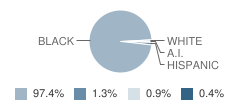 Genesis Academy Student Race Distribution