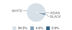 Gallia Academy Middle Student Race Distribution