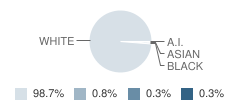 Jackson Northview Elementary School Student Race Distribution