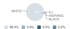 Hillview Elementary School Student Race Distribution