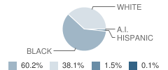 Jefferson K-8 School Student Race Distribution