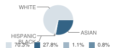 Glacier Ridge Elementary School Student Race Distribution