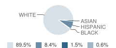 Perry Primary Elementary School Student Race Distribution