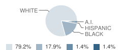 Graham School, the Student Race Distribution