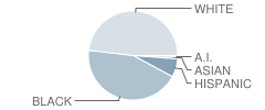 Arts & College Preparatory Academy Student Race Distribution