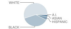 Harris Elementary School Student Race Distribution