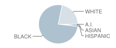 East High School Student Race Distribution