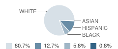 Saybrook Elementary School Student Race Distribution