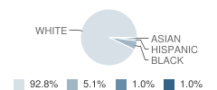 Northeastern Elementary School Student Race Distribution