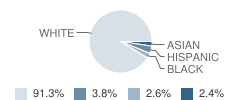Kenwood Elementary School Student Race Distribution