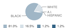 Hartford Middle School Student Race Distribution