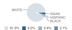 Driscoll Elementary School Student Race Distribution