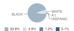 Mt. Airy Elementary School Student Race Distribution