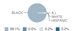 Andrew J Rickoff Elementary School Student Race Distribution