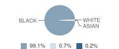 East Clark Elementary School Student Race Distribution