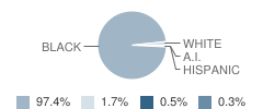 East Technical High School Student Race Distribution