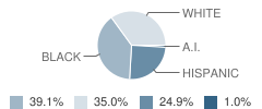 H Barbara Booker Elementary School Student Race Distribution