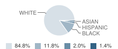 Clinton Elementary School Student Race Distribution