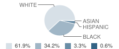 Como Elementary School Student Race Distribution