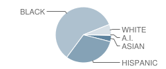 Easthaven Elementary School Student Race Distribution