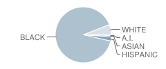 Independence High School Student Race Distribution