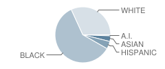 Lincoln Park Elementary School Student Race Distribution