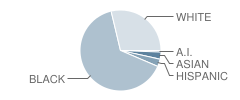 Columbus Alternative High School Student Race Distribution