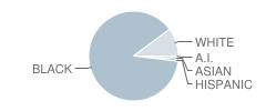 Stewart Alternative Elementary School Student Race Distribution